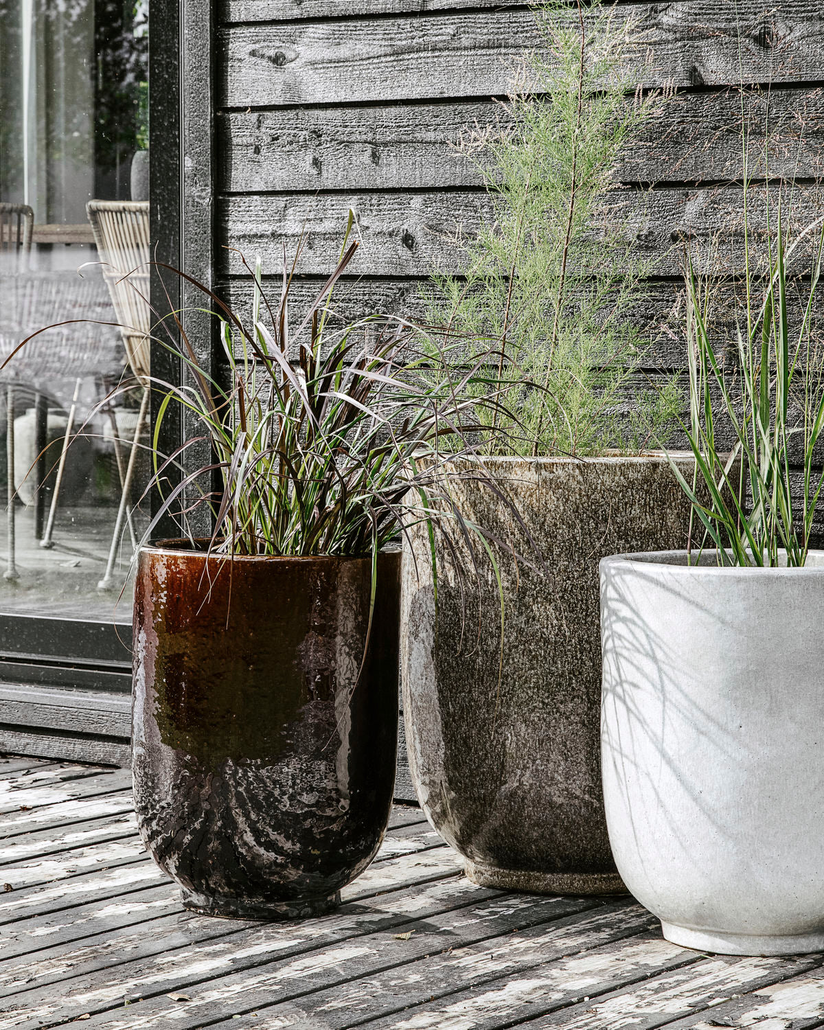 PLANTER PHO DARK BROWN/BLUE