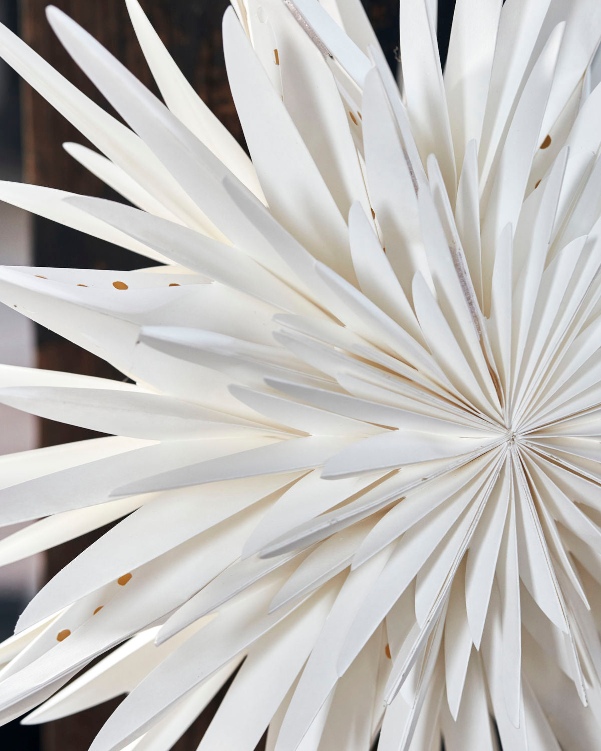 STAR, DUST, OFF-WHITE SMALL