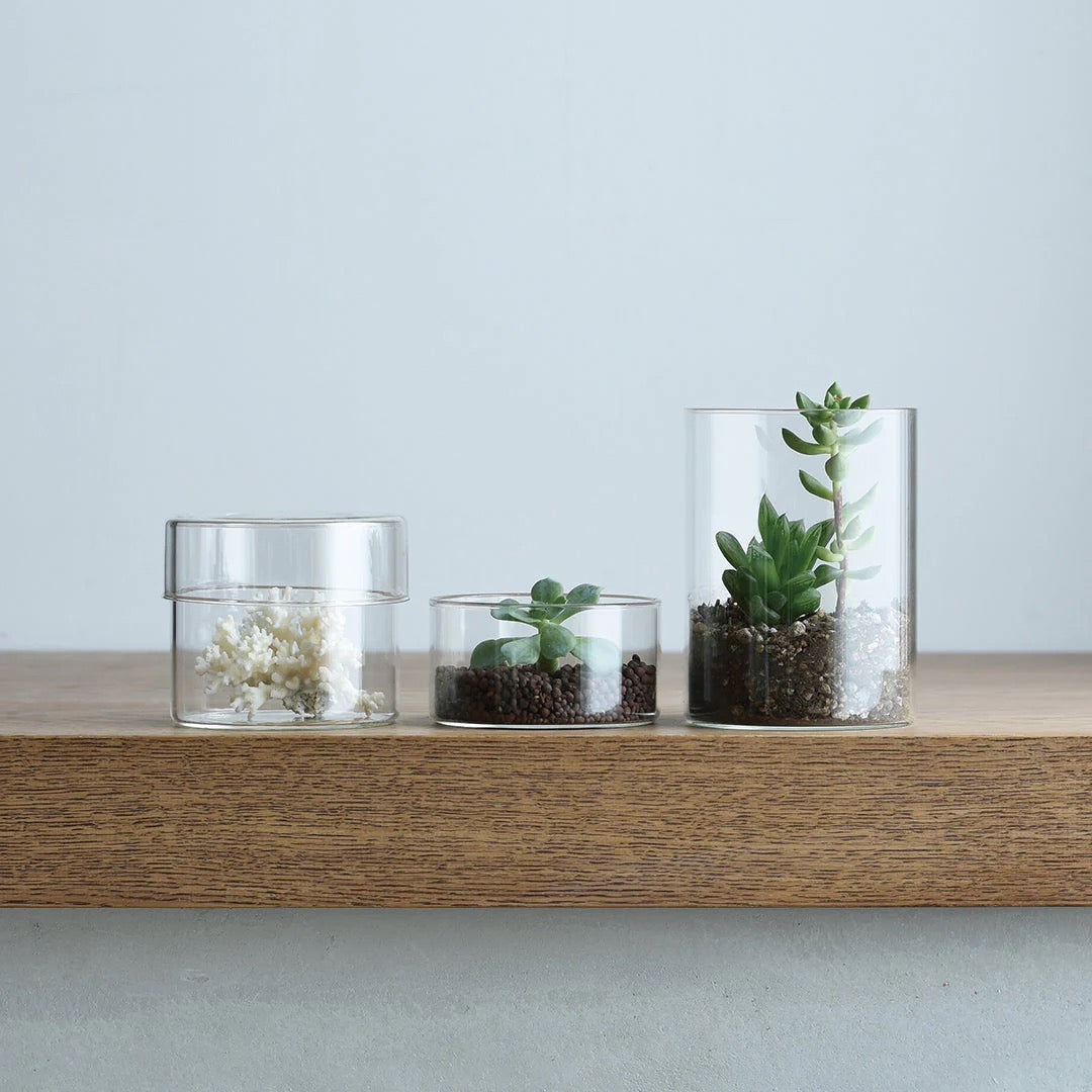 SCHALE GLASS CASE