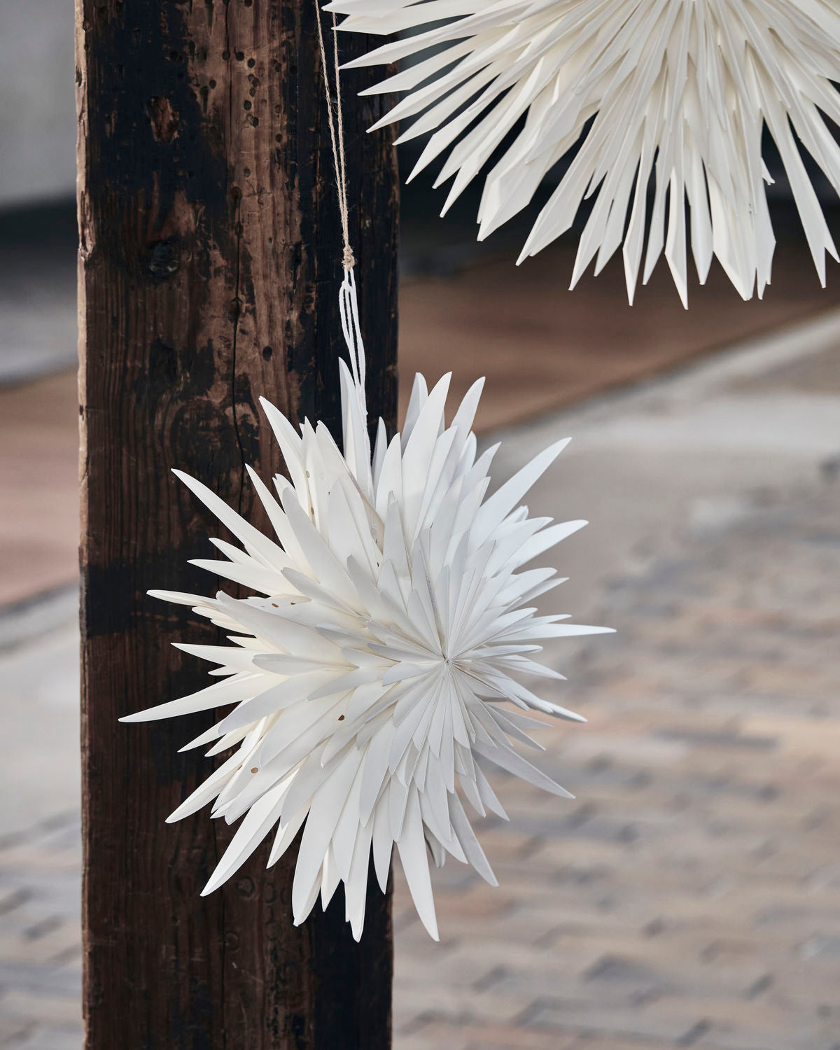 STAR, DUST, OFF-WHITE SMALL