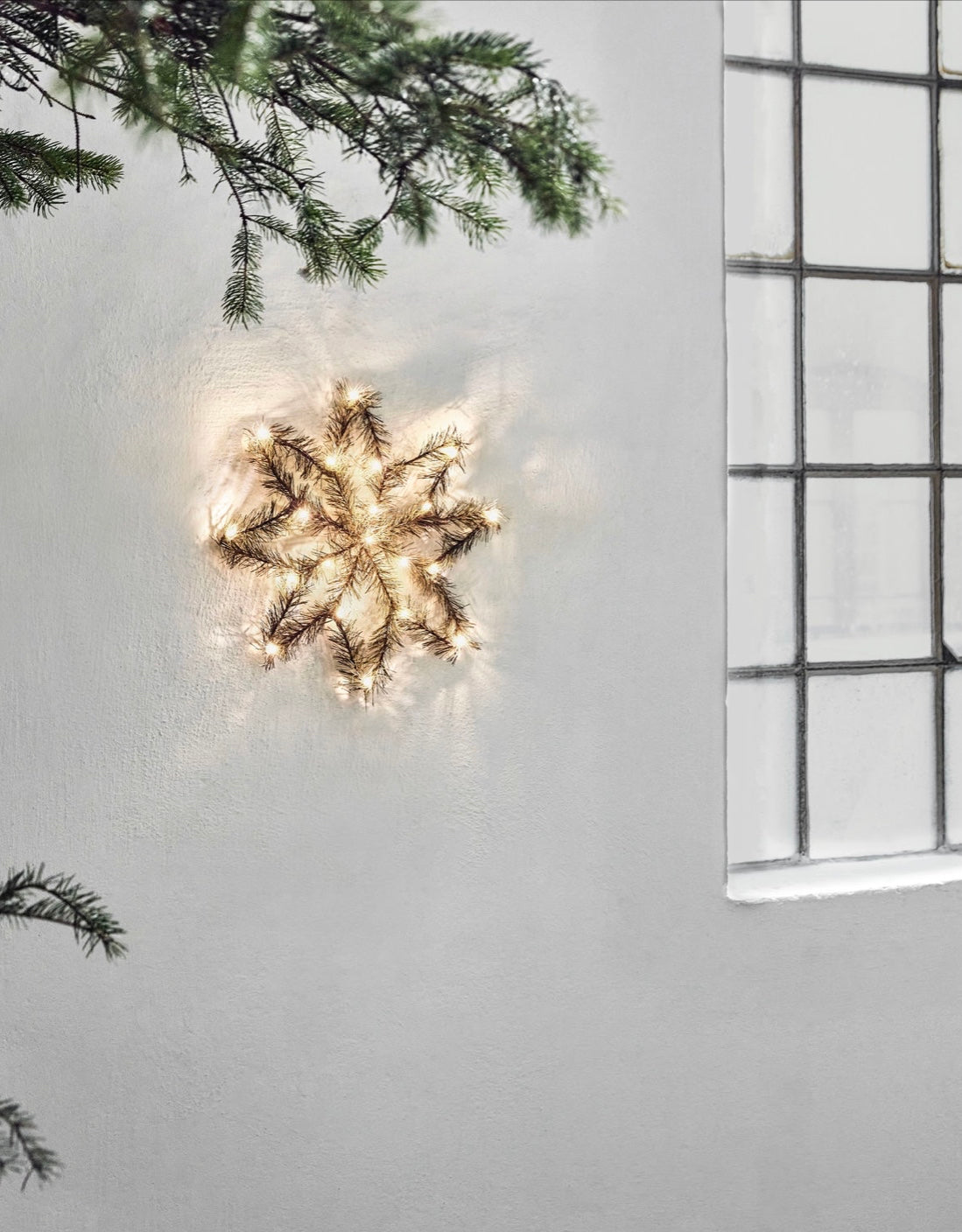 STAR W. LED PEUCE NATURE