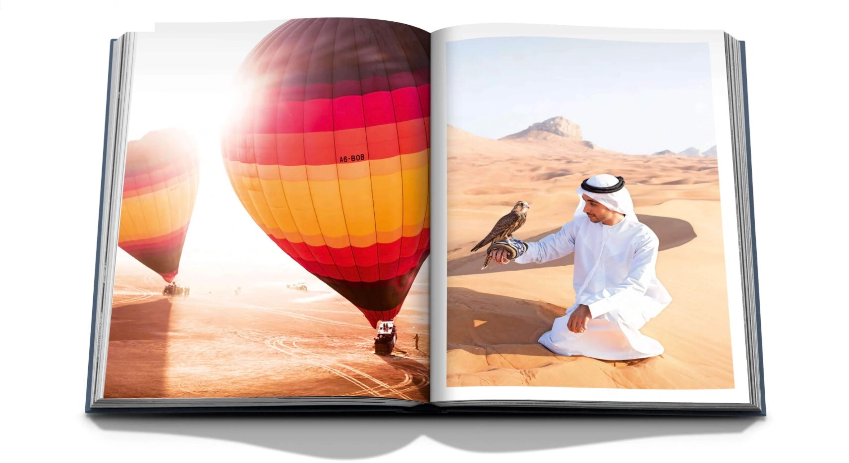 DUBAI WONDER