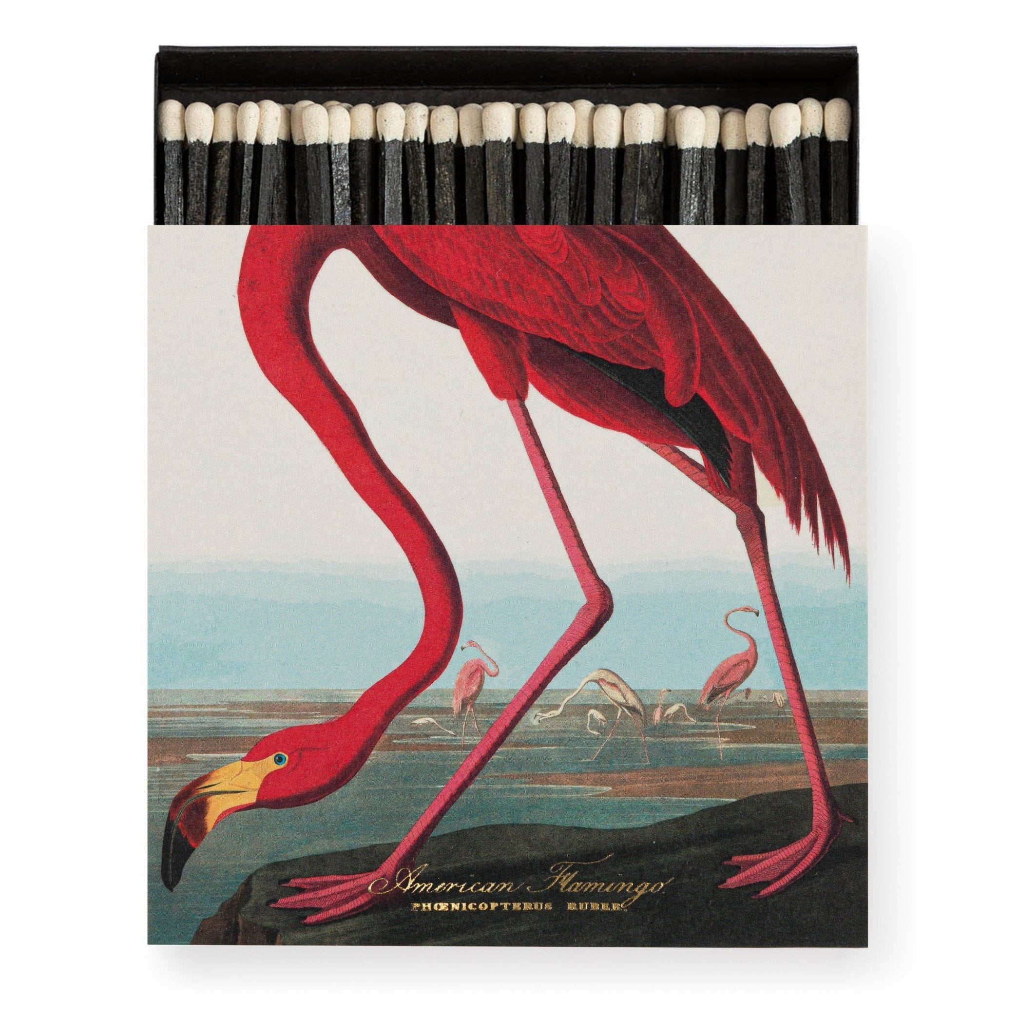 THE AMERICAN FLAMINGO BY AUDUBON MATCHES