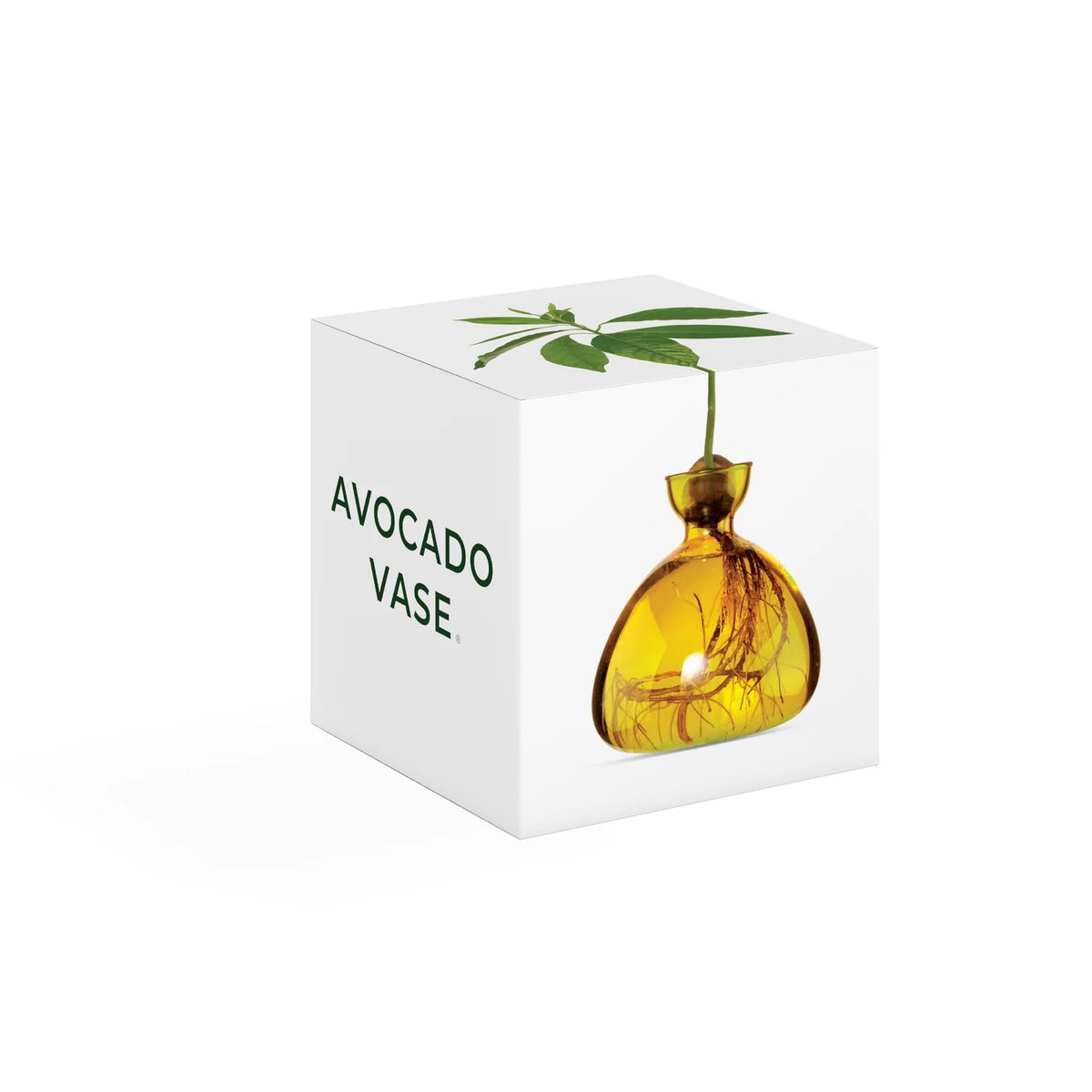 AVOCADO VASE | MELLOW YELLOW