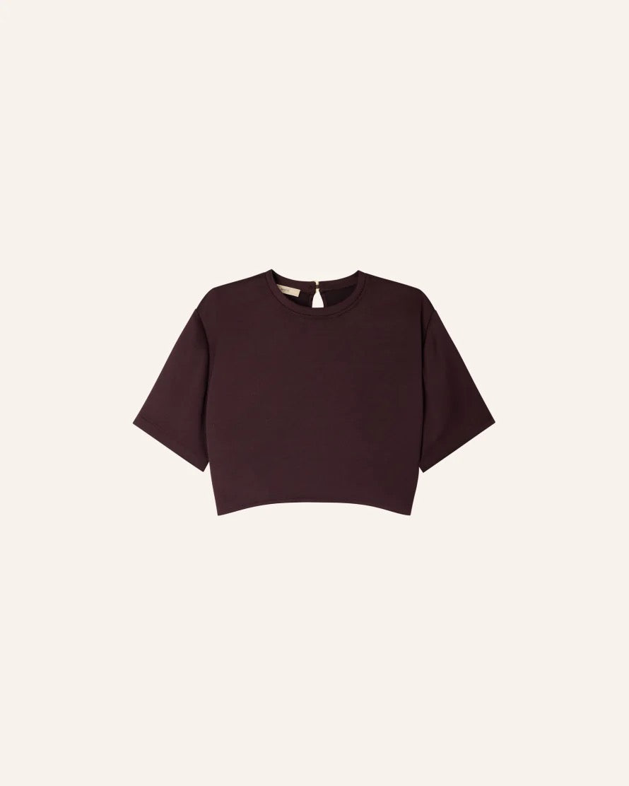 TOP | MOCAMBO | MURZA