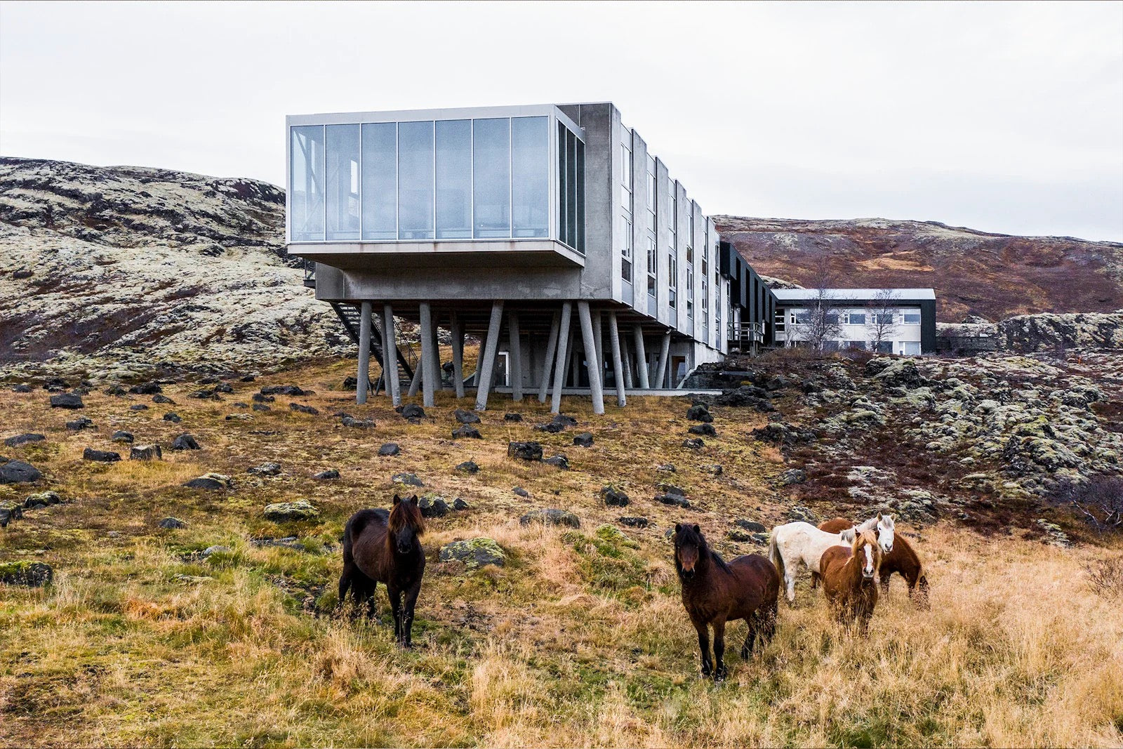 DESIGNED TO STAY: THE DESIGN HOTELS BOOK