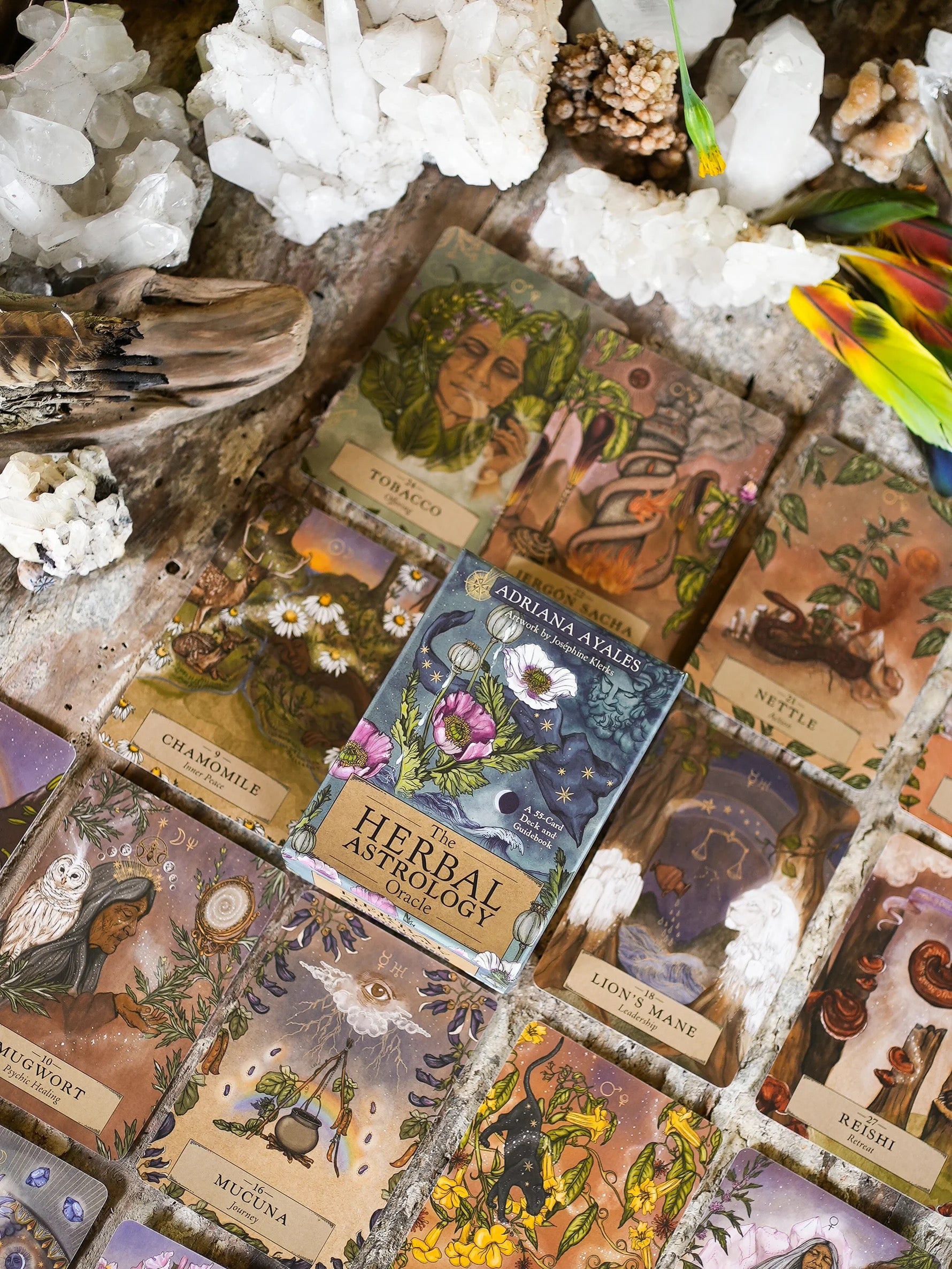 HERBAL ASTROLOGY ORACLE | 55-CARD DECK + GUIDEBOOK