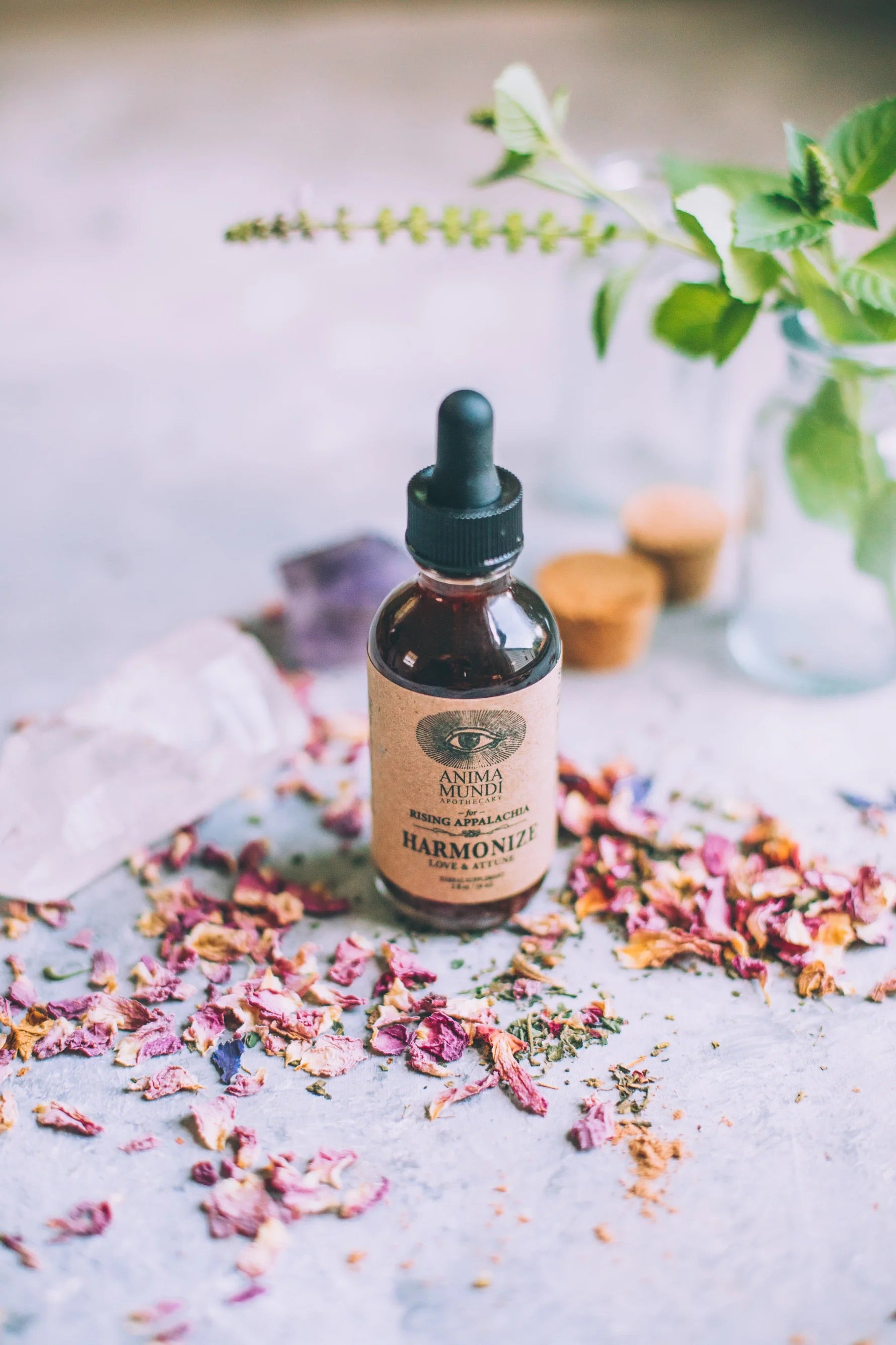 HARMONIZE TONIC | ROSE + ASHWAGANDHA