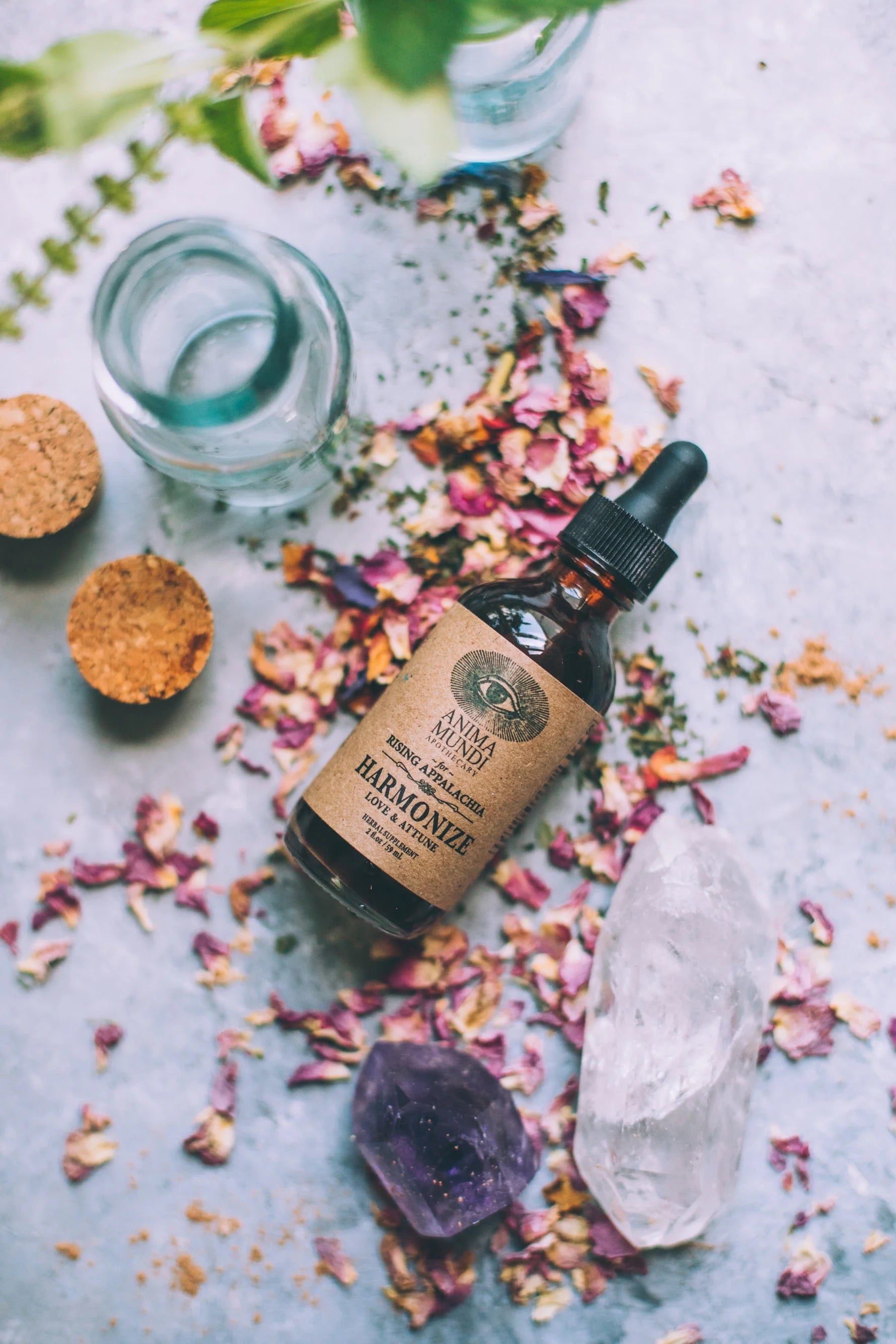 HARMONIZE TONIC | ROSE + ASHWAGANDHA