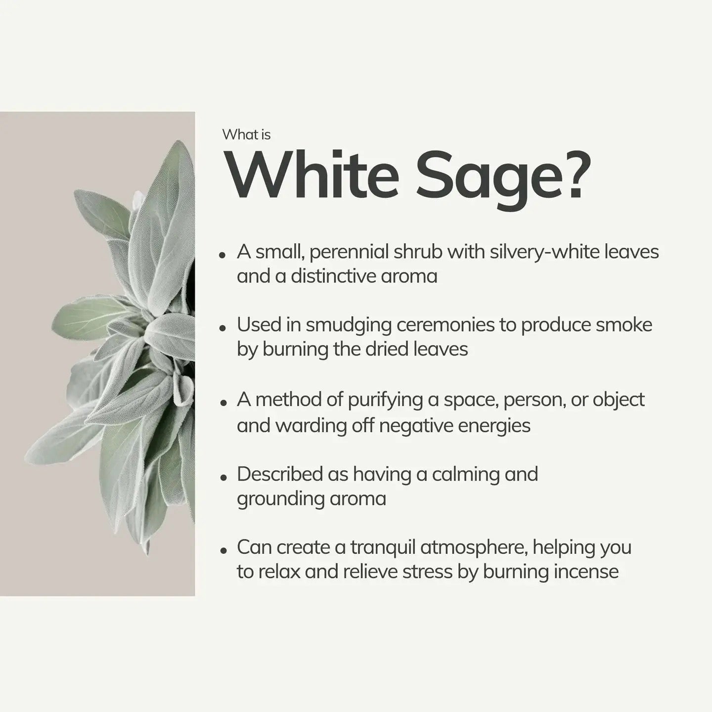 WHITE SAGE INCENSE STICKS | PERU
