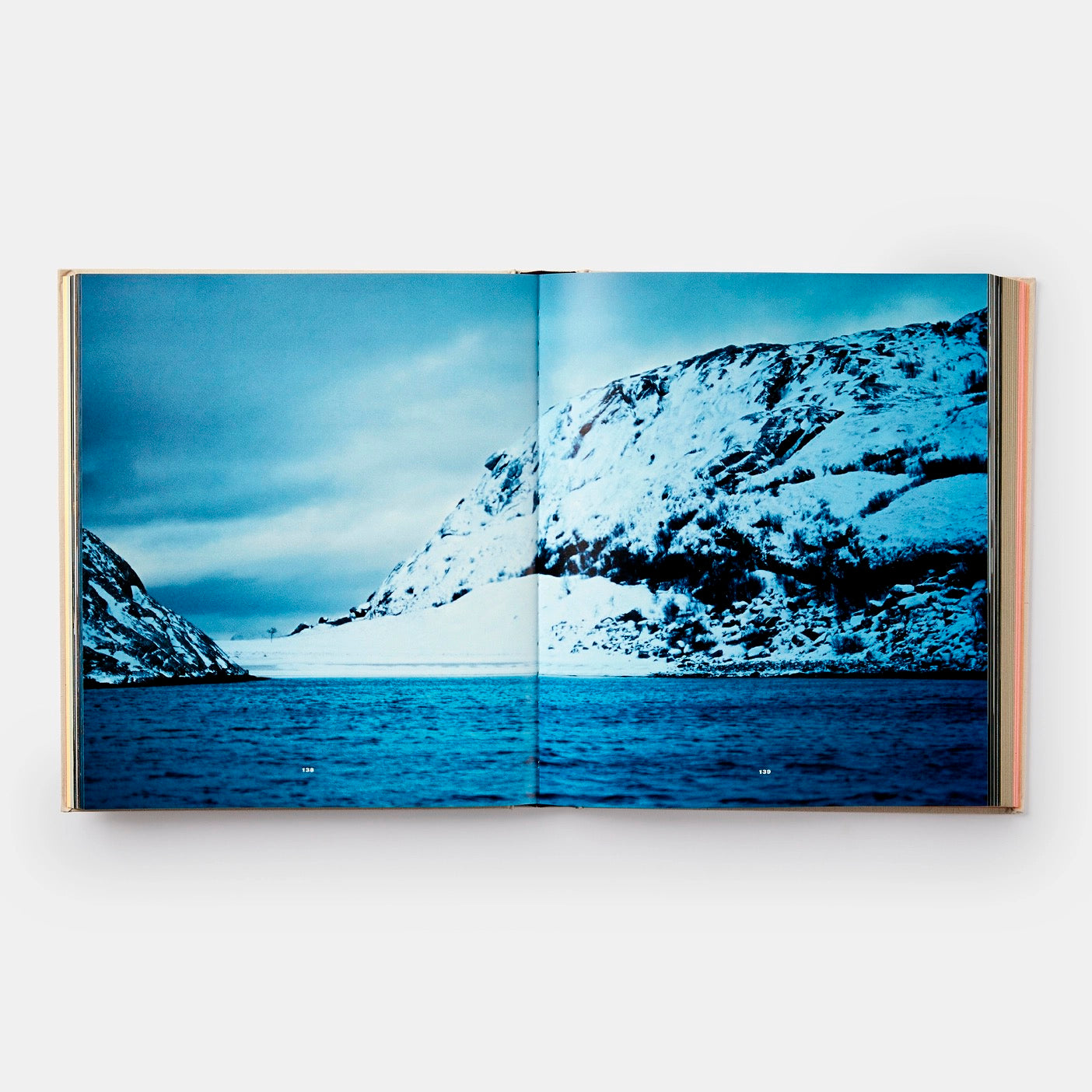 NOMA: TIME AND PLACE IN NORDIC CUISINE