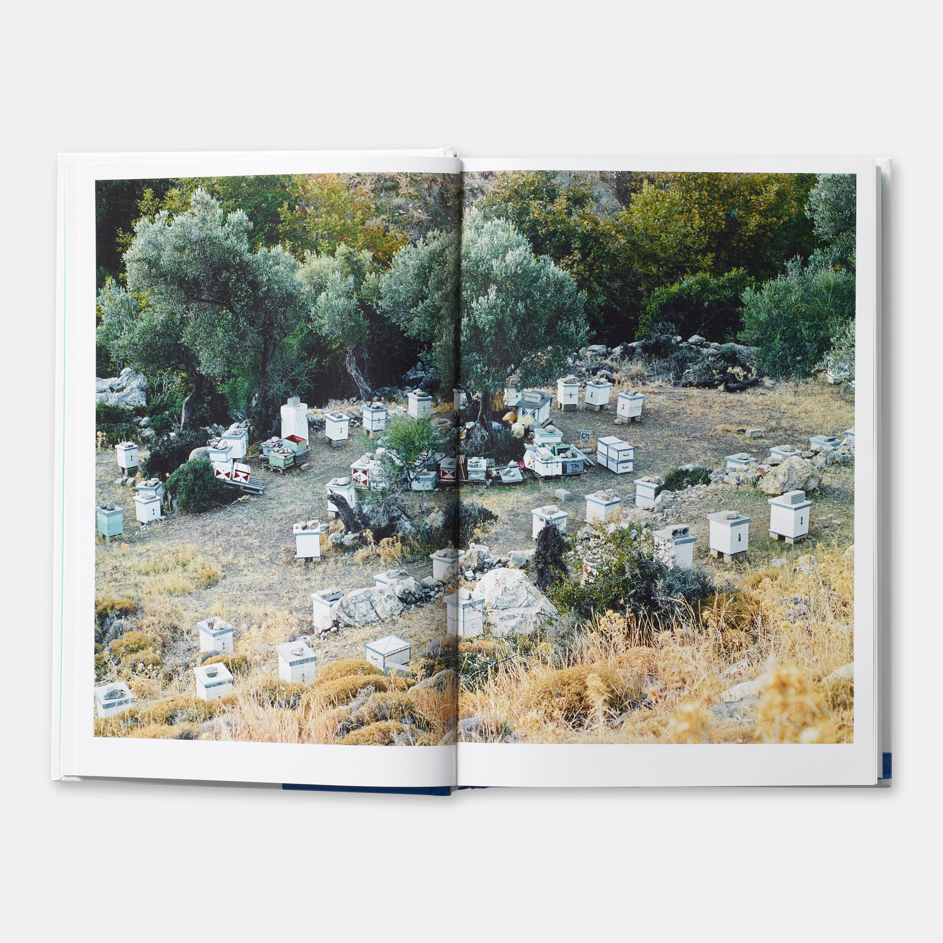GREECE: THE COOKBOOK