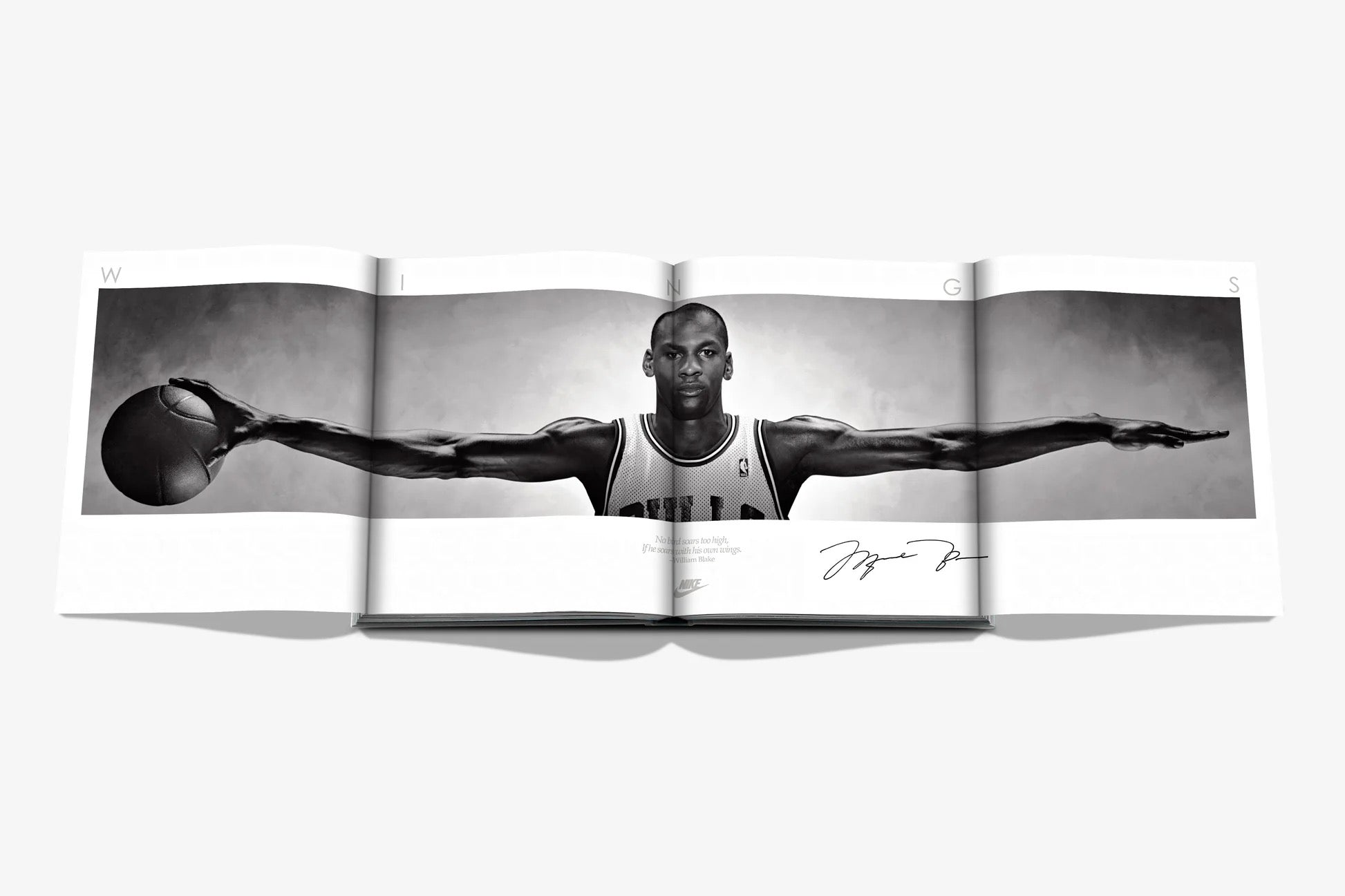 AIR JORDAN