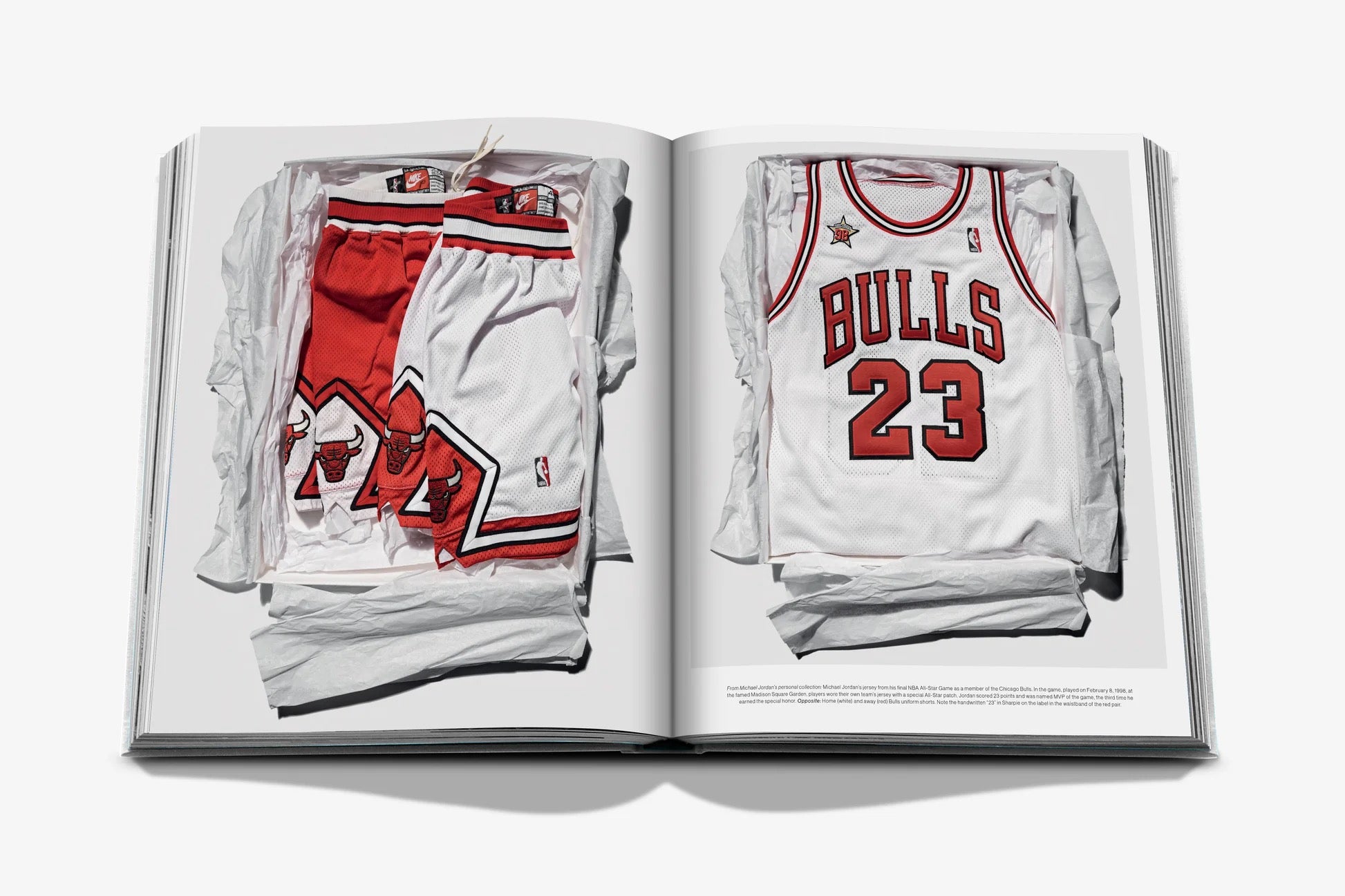 AIR JORDAN