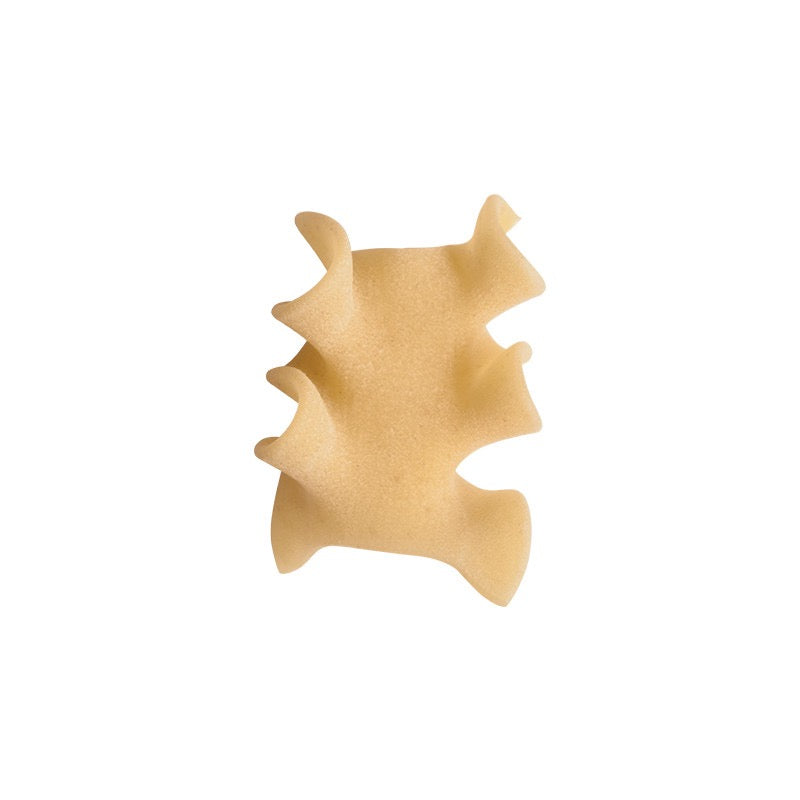 SAGNE IN PIECES