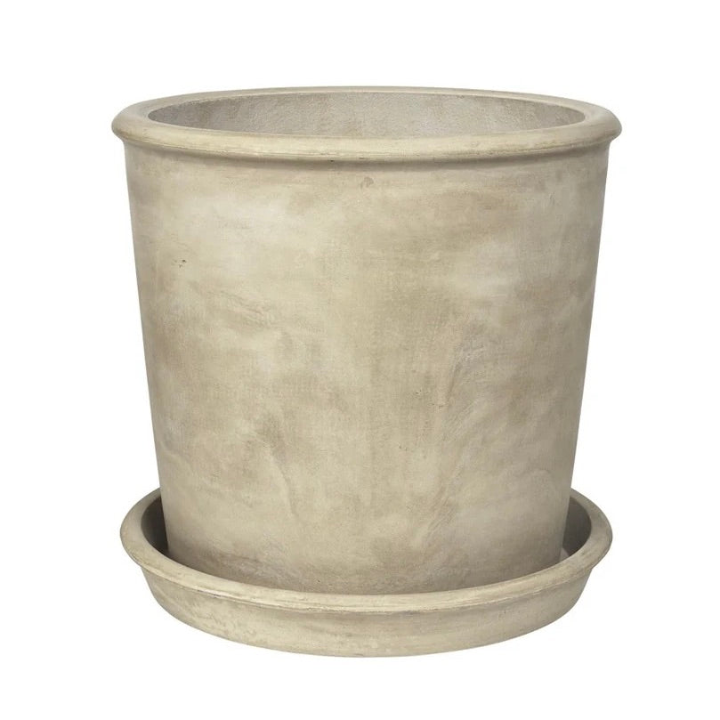 ROLF PLANTER L