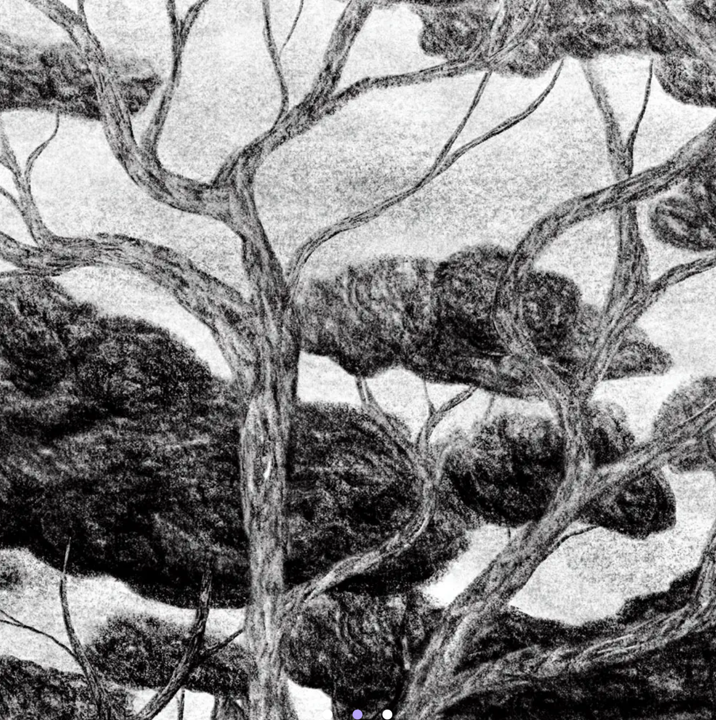 CHARCOAL FOREST | MAXI