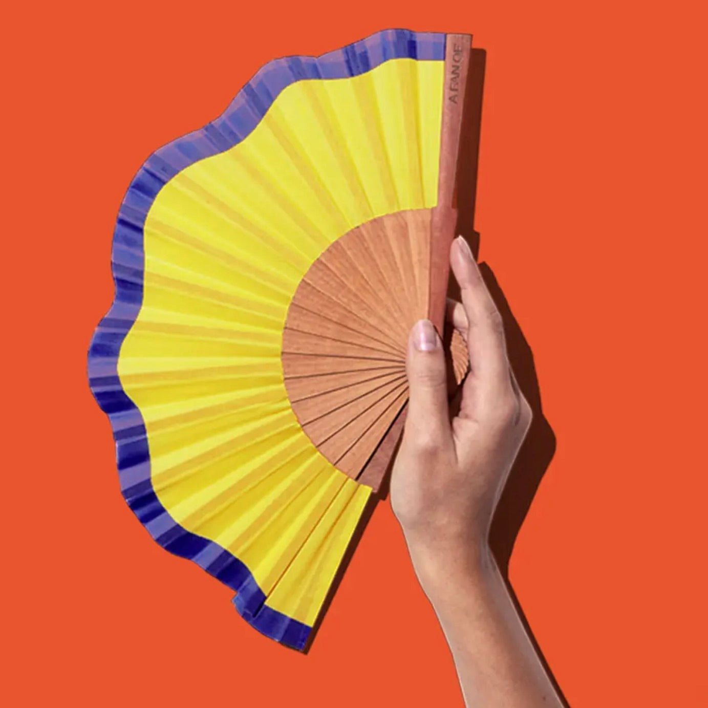 FLUID SHAPES | SPECIAL MINI