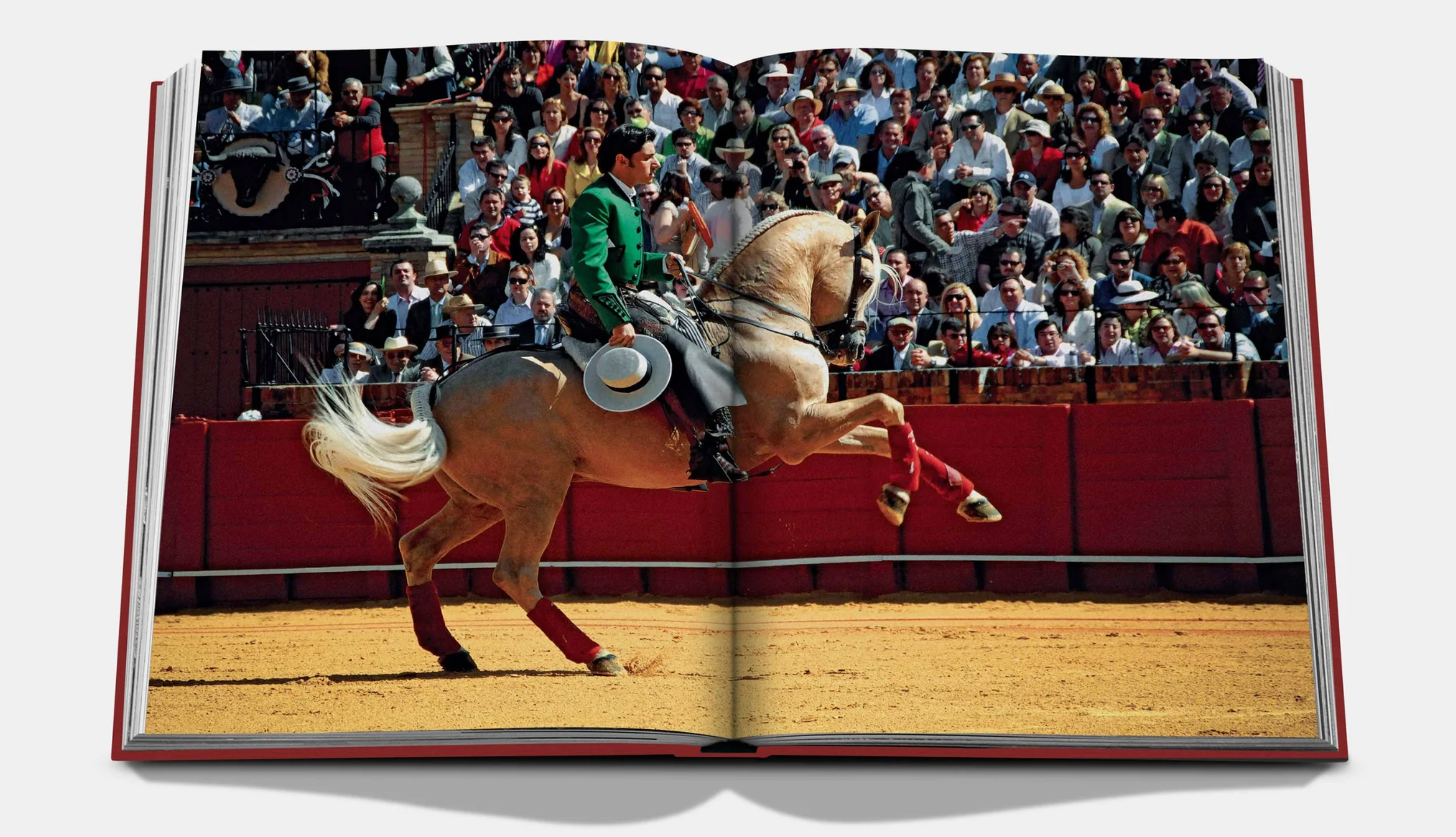 SEVILLA ARTE