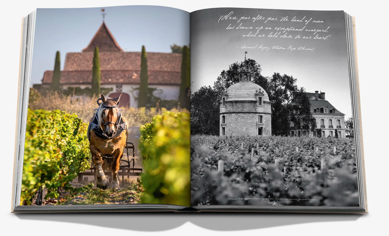 WINE AND TRAVEL FRANCE