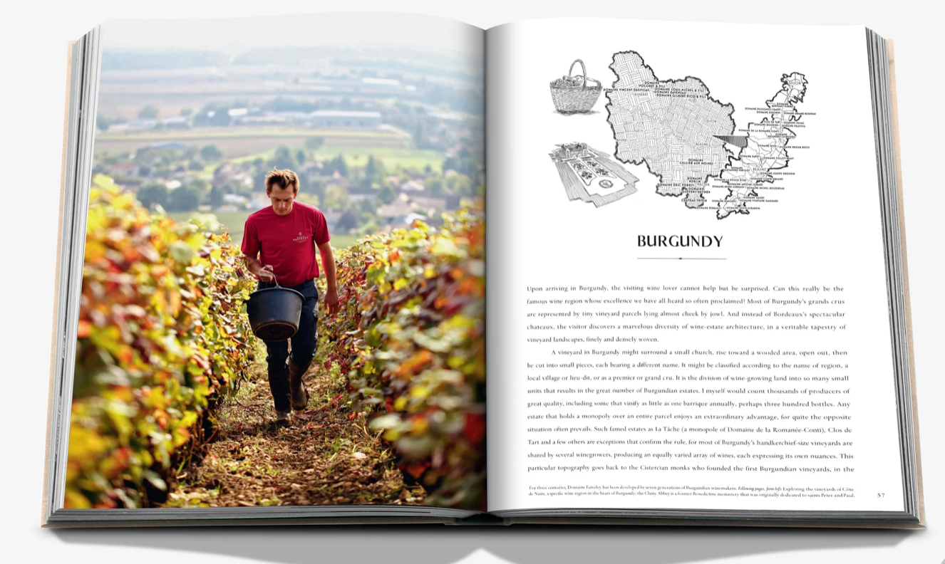 WINE AND TRAVEL FRANCE