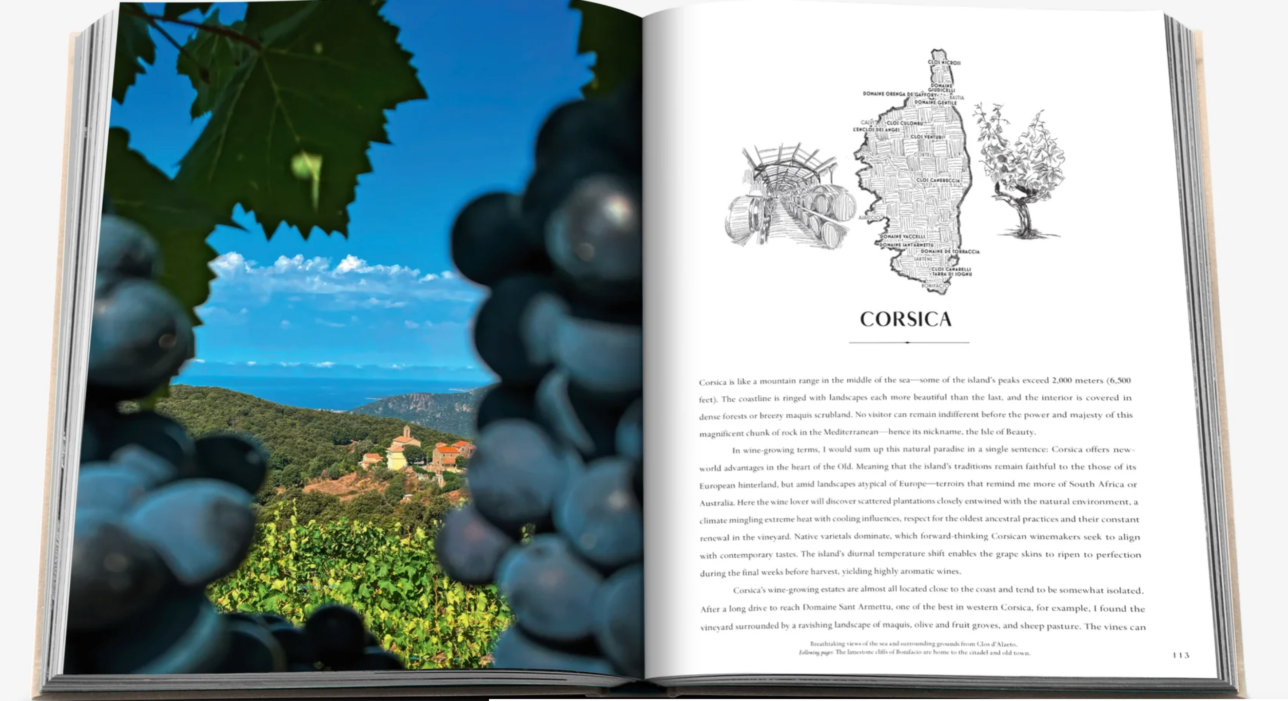 WINE AND TRAVEL FRANCE
