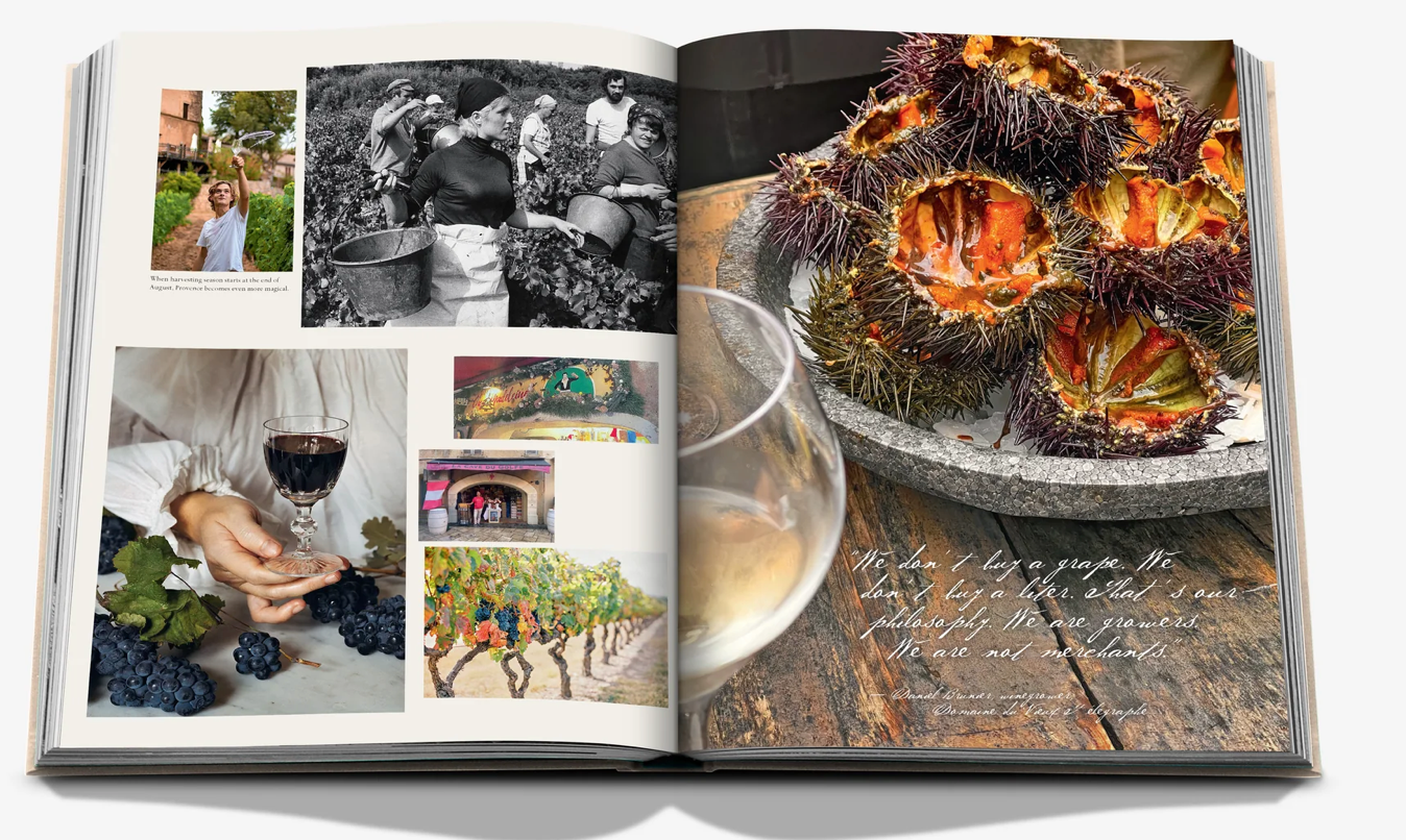 WINE AND TRAVEL FRANCE