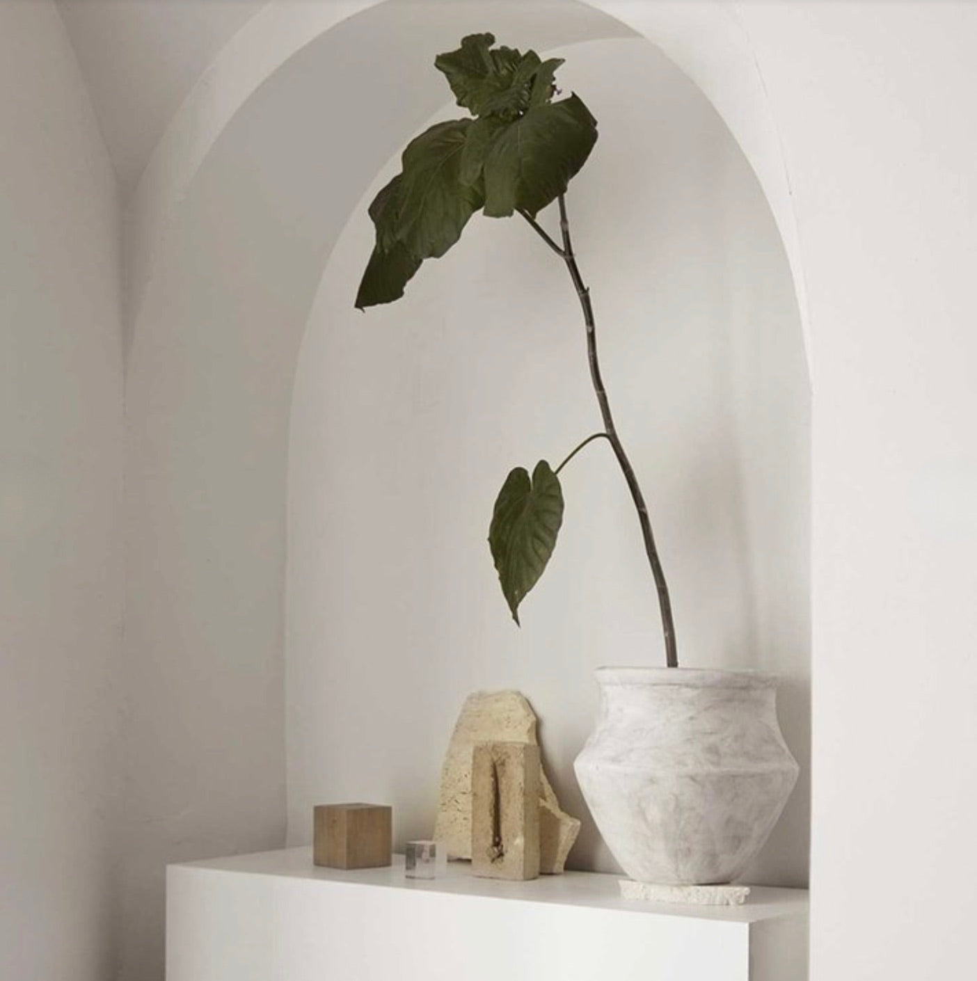 POT TERRACOTTA , CLAY GREEK | S | WHITE