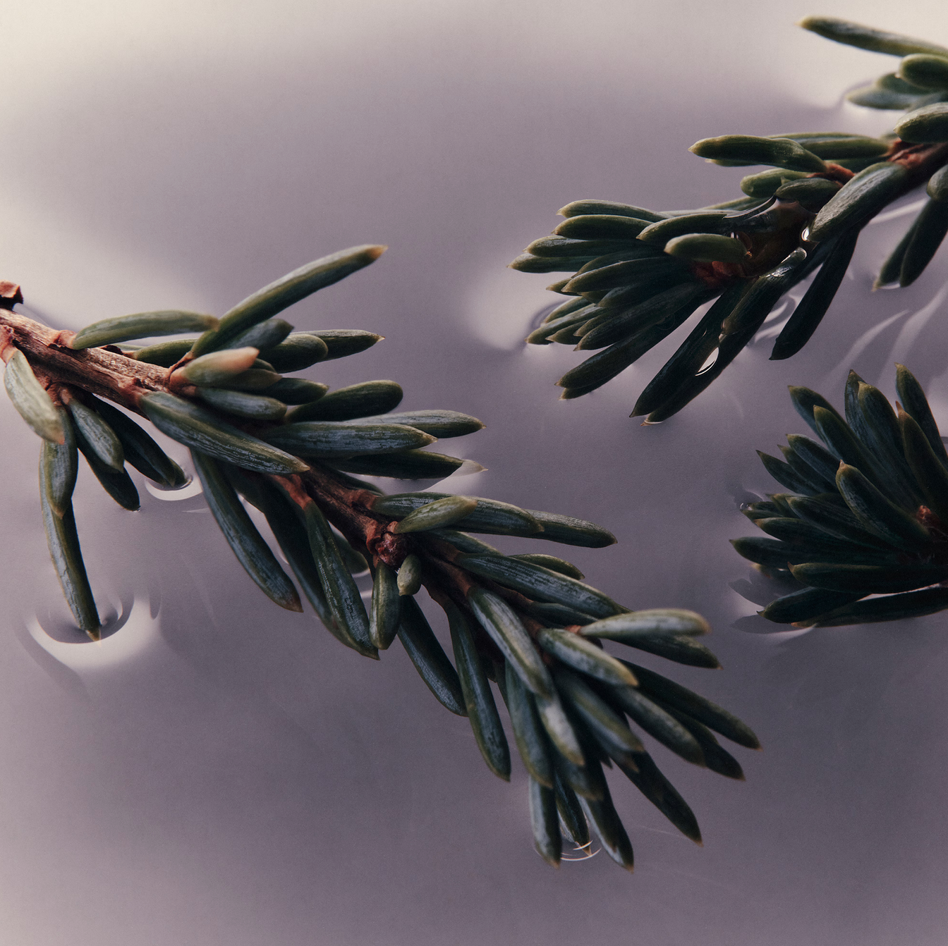 ELEOS NOURISHING BODY CLEANSER | 180ml