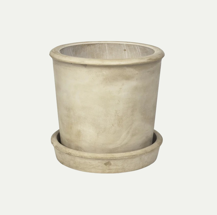 ROLF PLANTER S