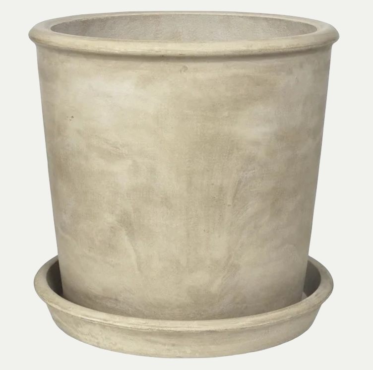 ROLF PLANTER L