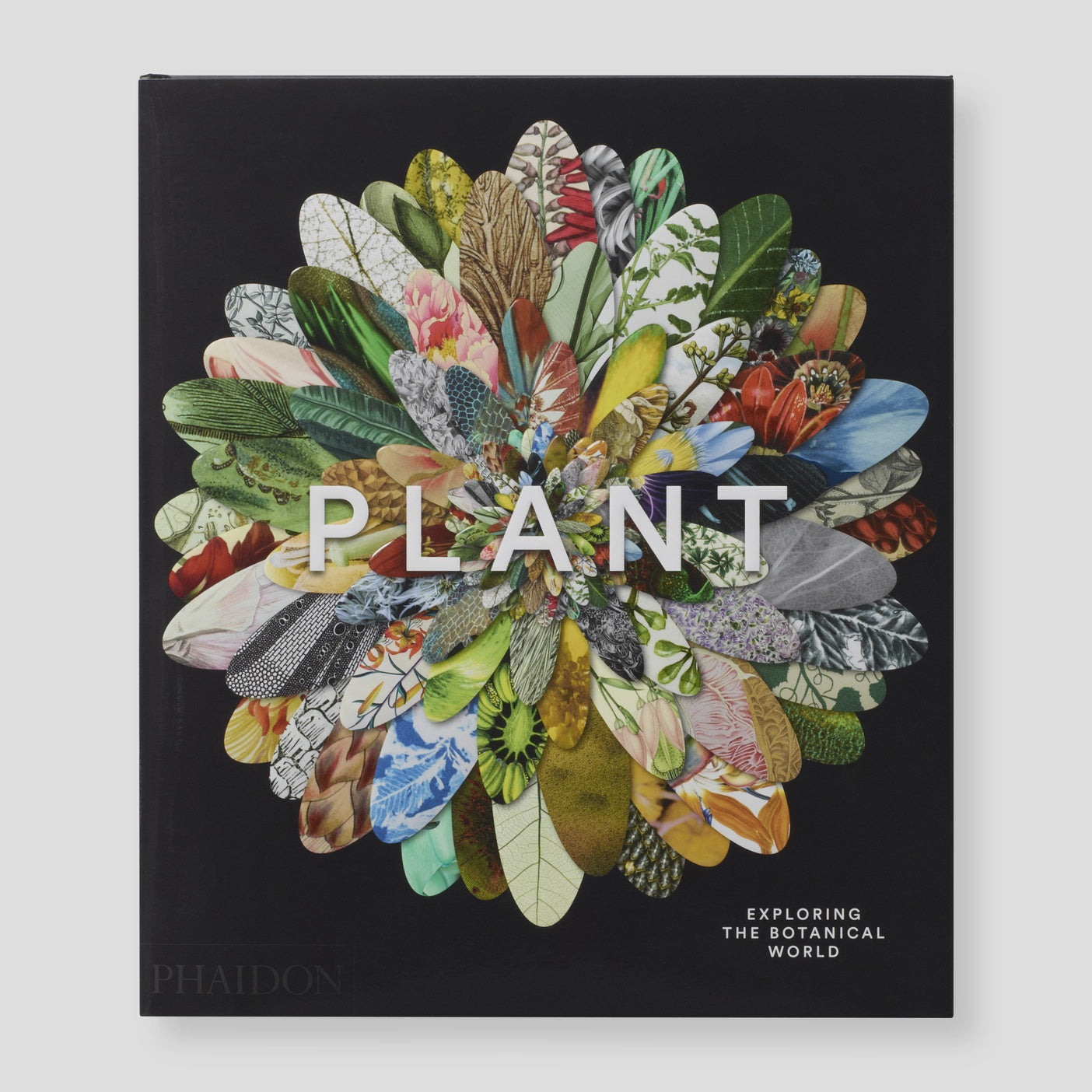 PLANT EXPLORING THE BOTANICAL WORLD