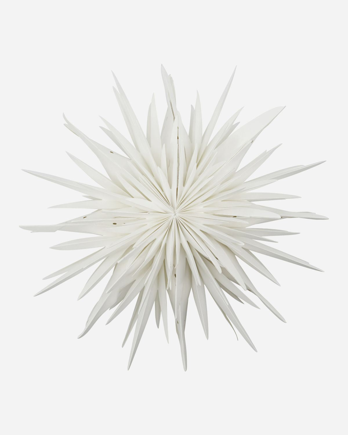 STAR, DUST, OFF-WHITE