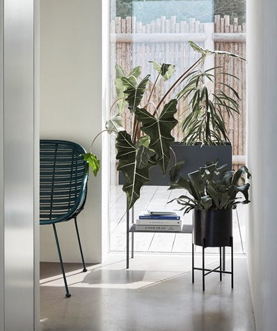 AIRY POTS (SET OF 2)