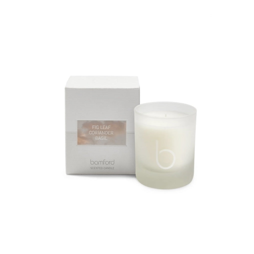 FIG LEAF SINGLE WICK CANDLE