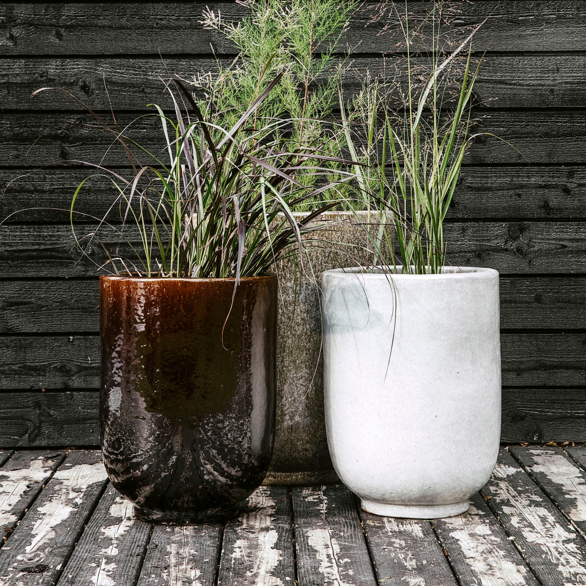 PLANTER PHO DARK BROWN/BLUE