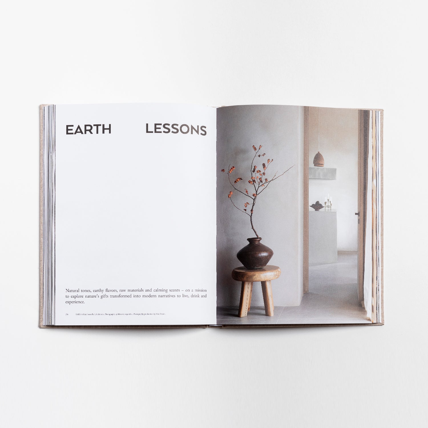 THE GREEK FOUNDATION VOL 01