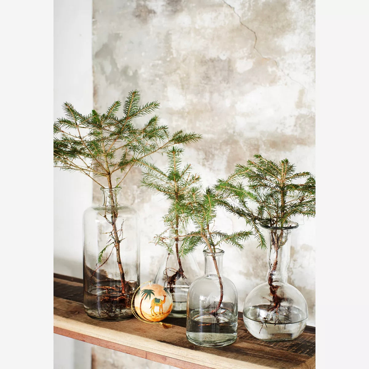 CLEAR GLASS VASE-LONG L