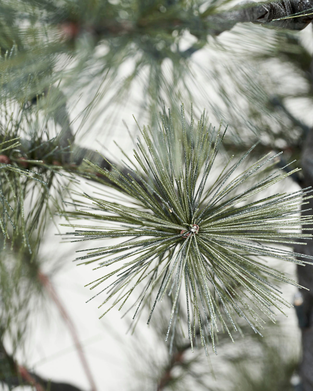 CHRISTMAS TREE W.LED, PEUCE, NATURE