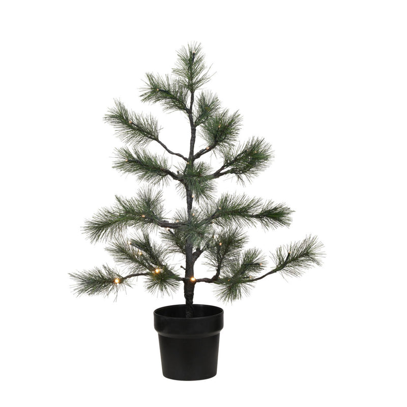 CHRISTMAS TREE WITH LED, NATURE, H:75cm