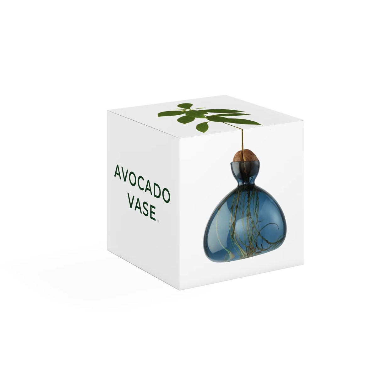 AVOCADO VASE | BLUE JAY