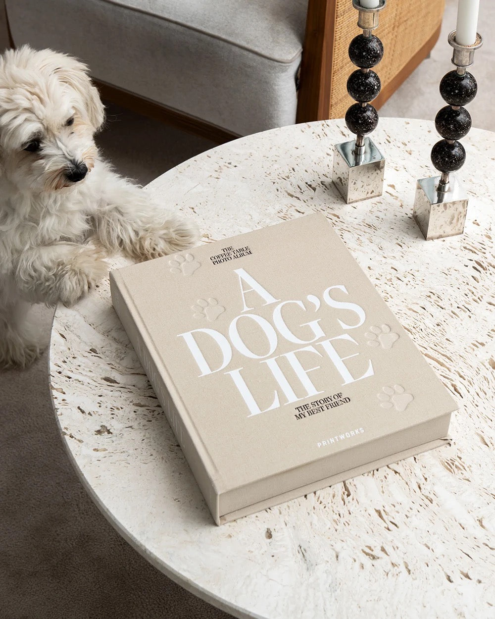 A DOG'S LIFE | DOG PHOTO ALBUM