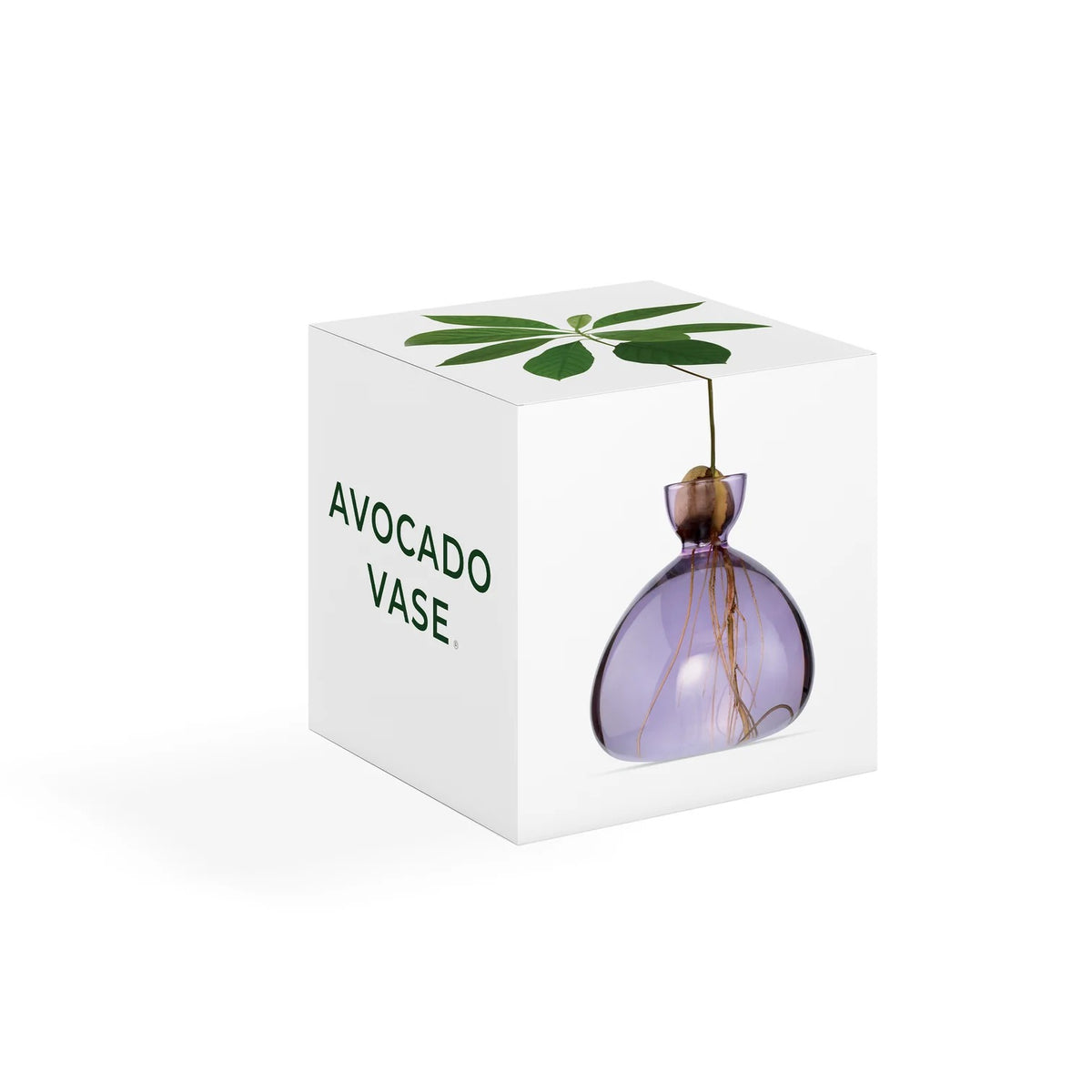 AVOCADO VASE | SPRING LILAC