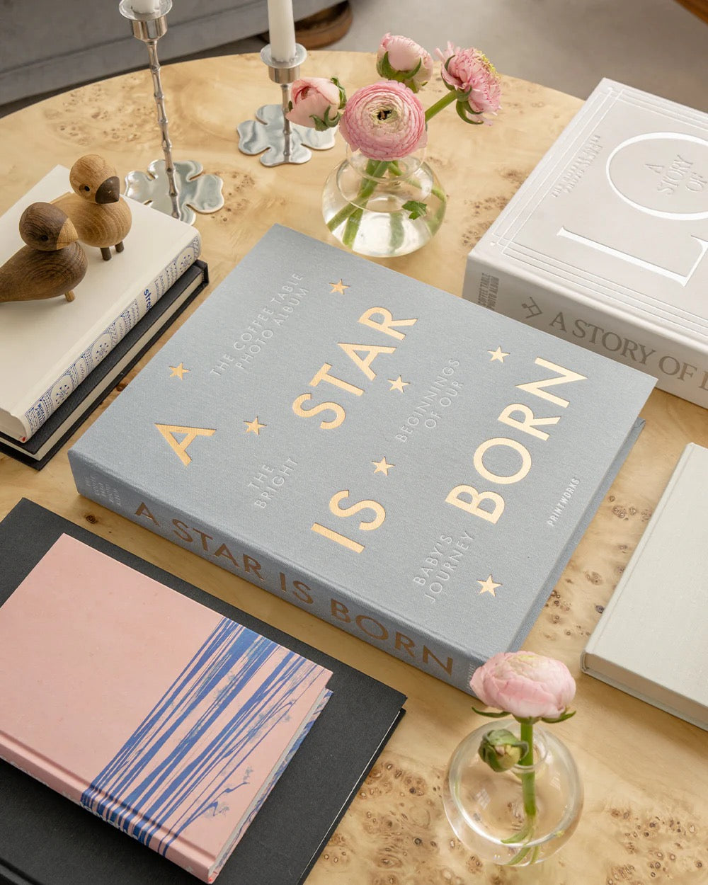 A STAR IS BORN | BABY PHOTO ALBUM