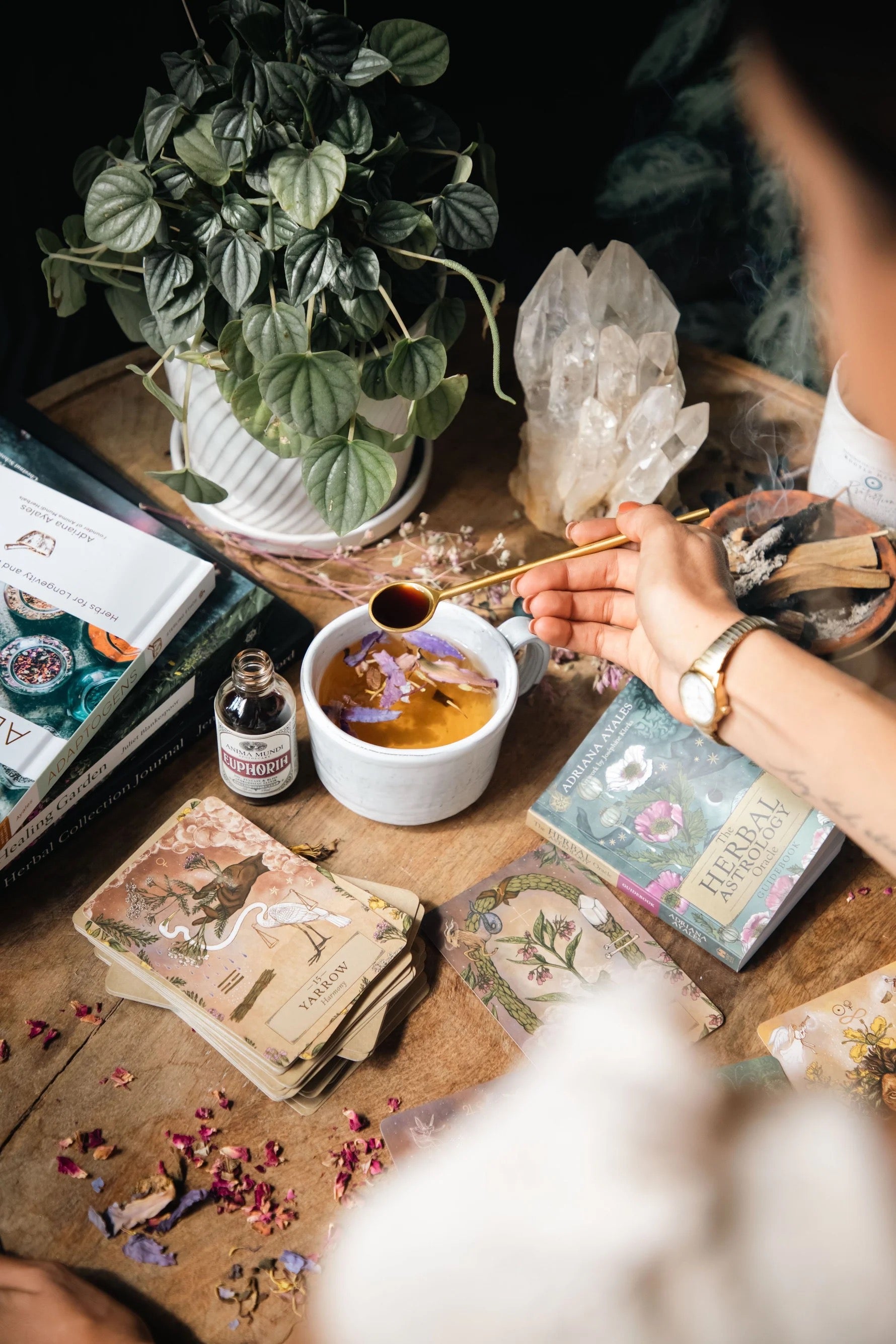 HERBAL ASTROLOGY ORACLE | 55-CARD DECK + GUIDEBOOK