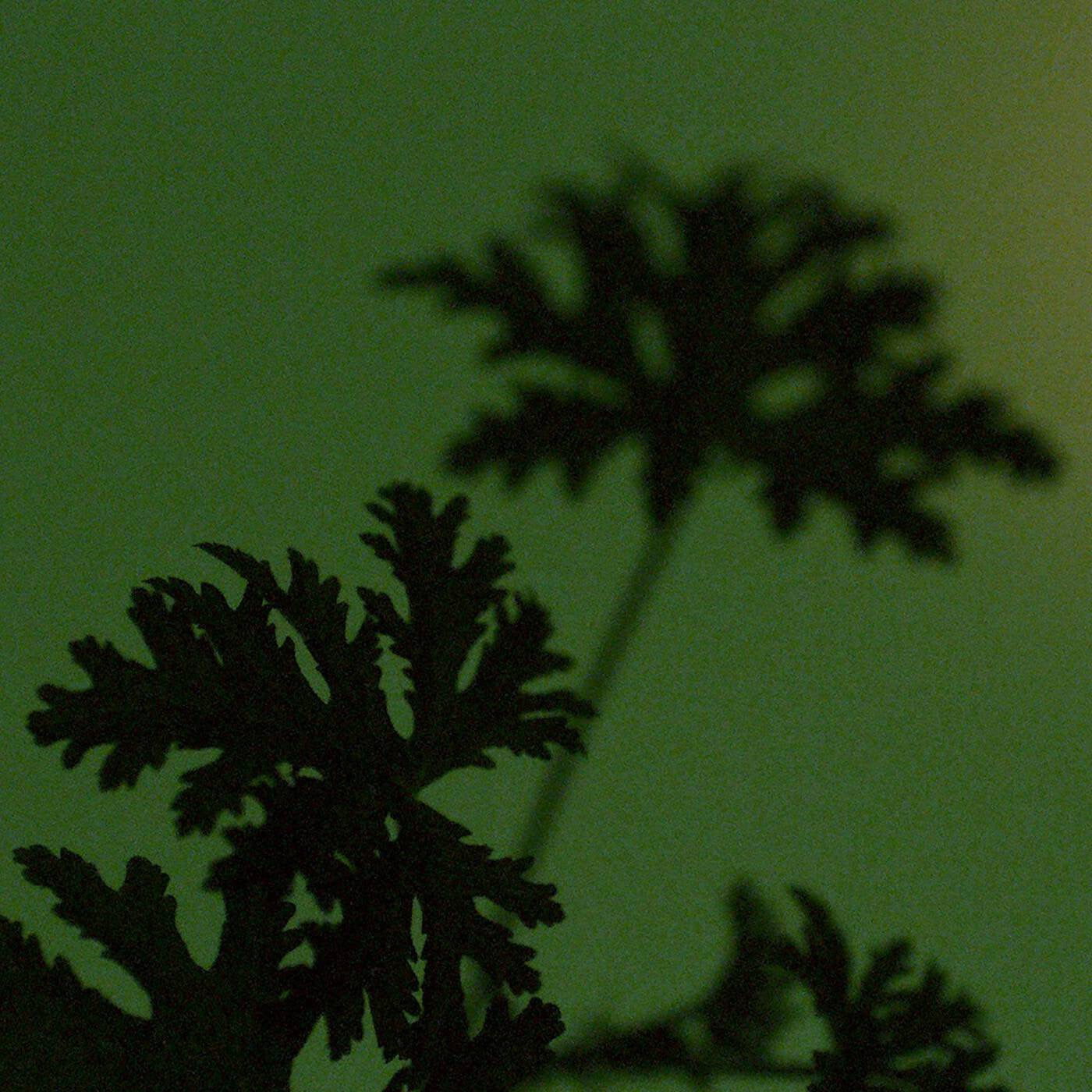 BODY CLEANSER - GERANIUM LEAF