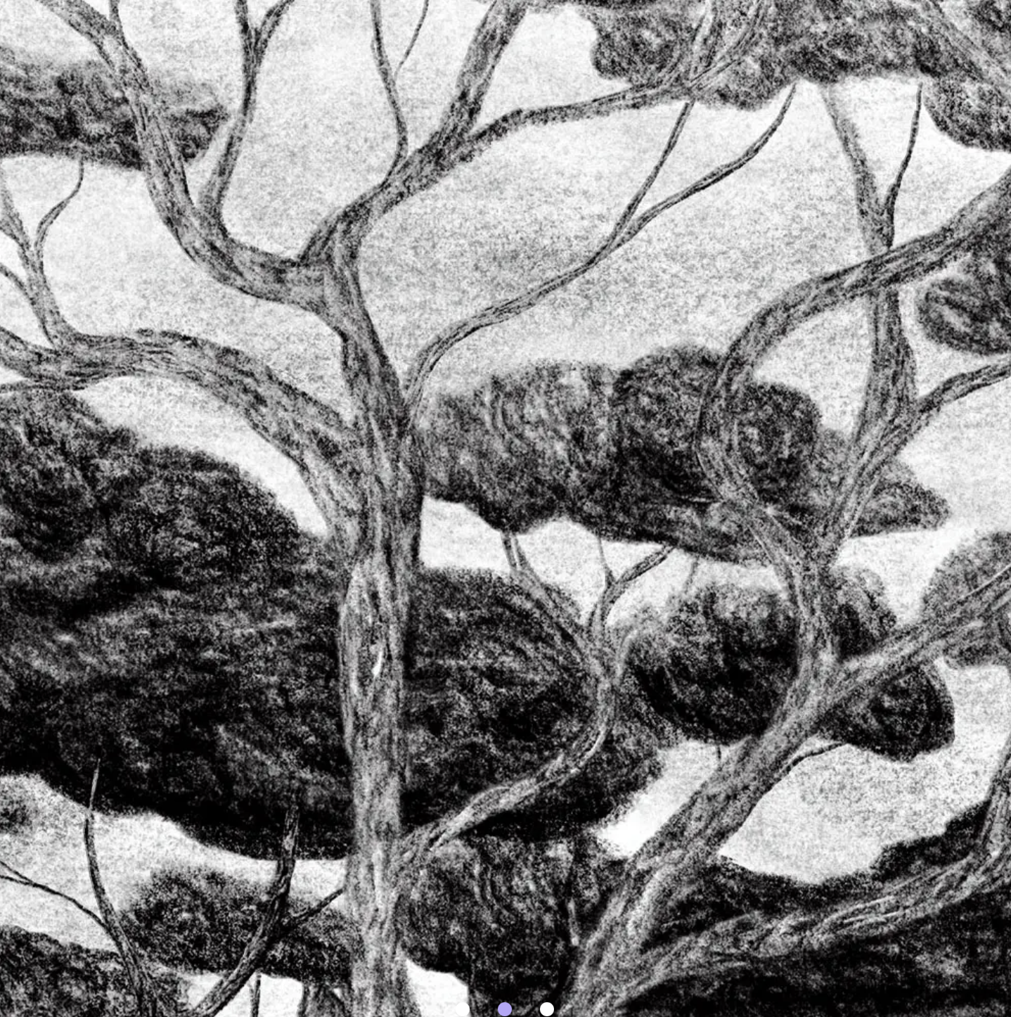 CHARCOAL FOREST-MAXI