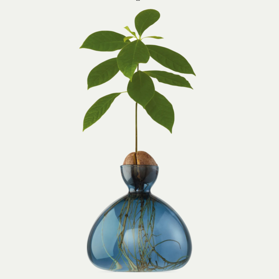 AVOCADO VASE | BLUE JAY