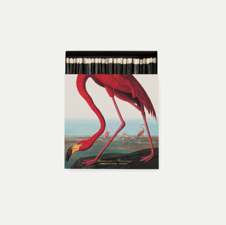 THE AMERICAN FLAMINGO BY AUDUBON MATCHES