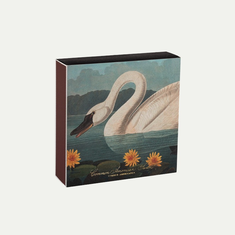 COMMON AMERICAN SWAN MATCHES